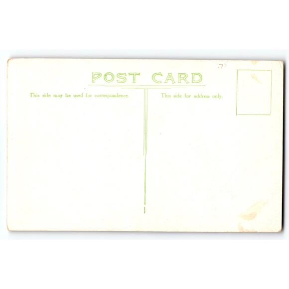 Vintage Green Finch Europe Bird Nest Eggs Lithograph Postcard - Picture 2 of 2